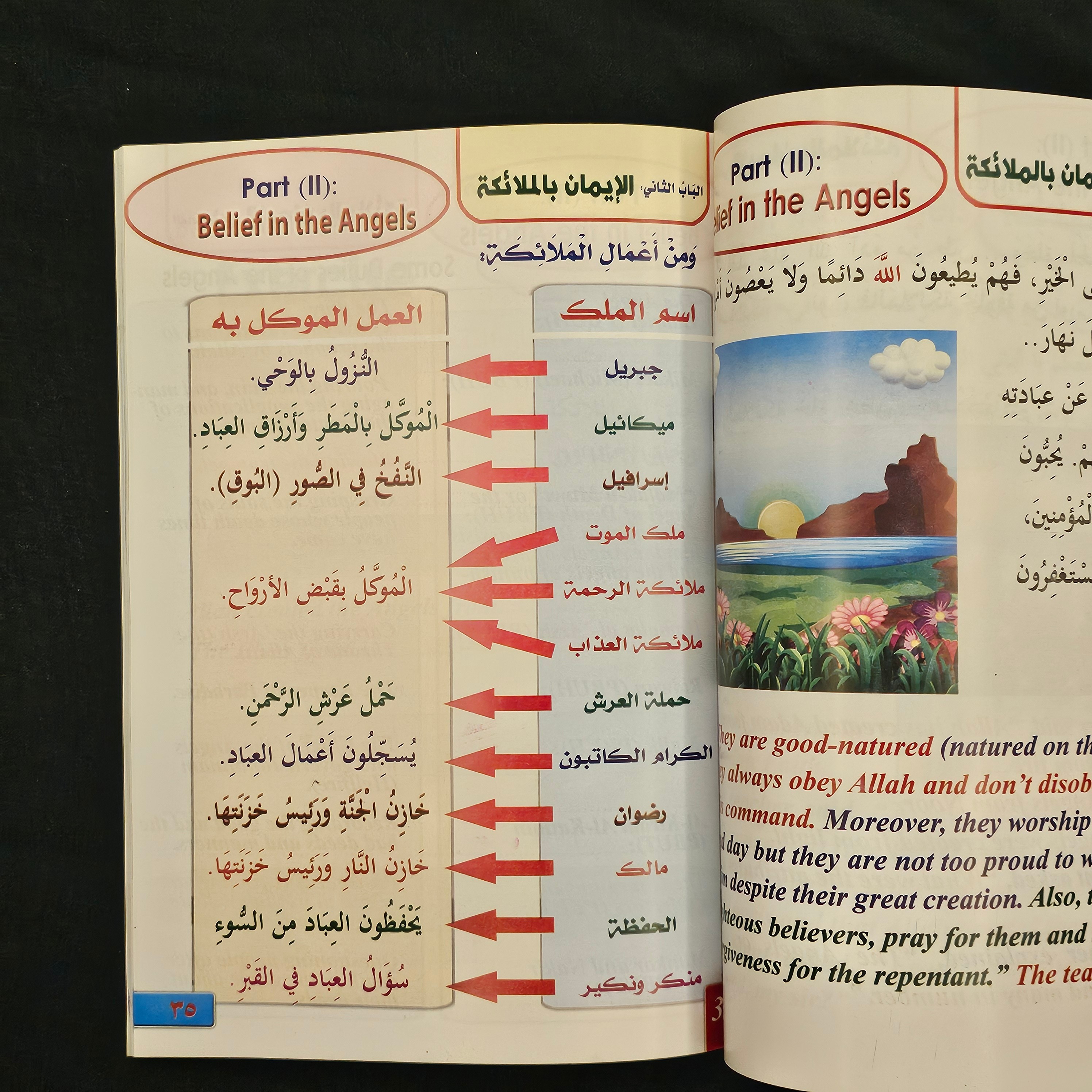 كتاب معلم العقيدة مترجم (عربي / انجليزي) 