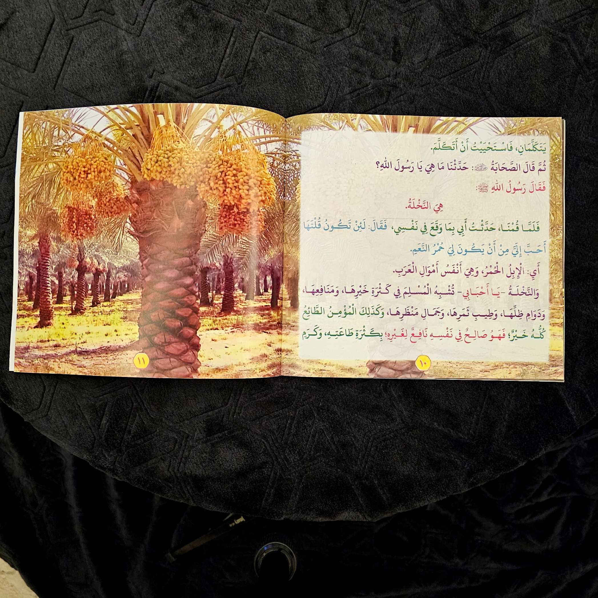 سلسلة عظماء حول الرسول ﷺ 